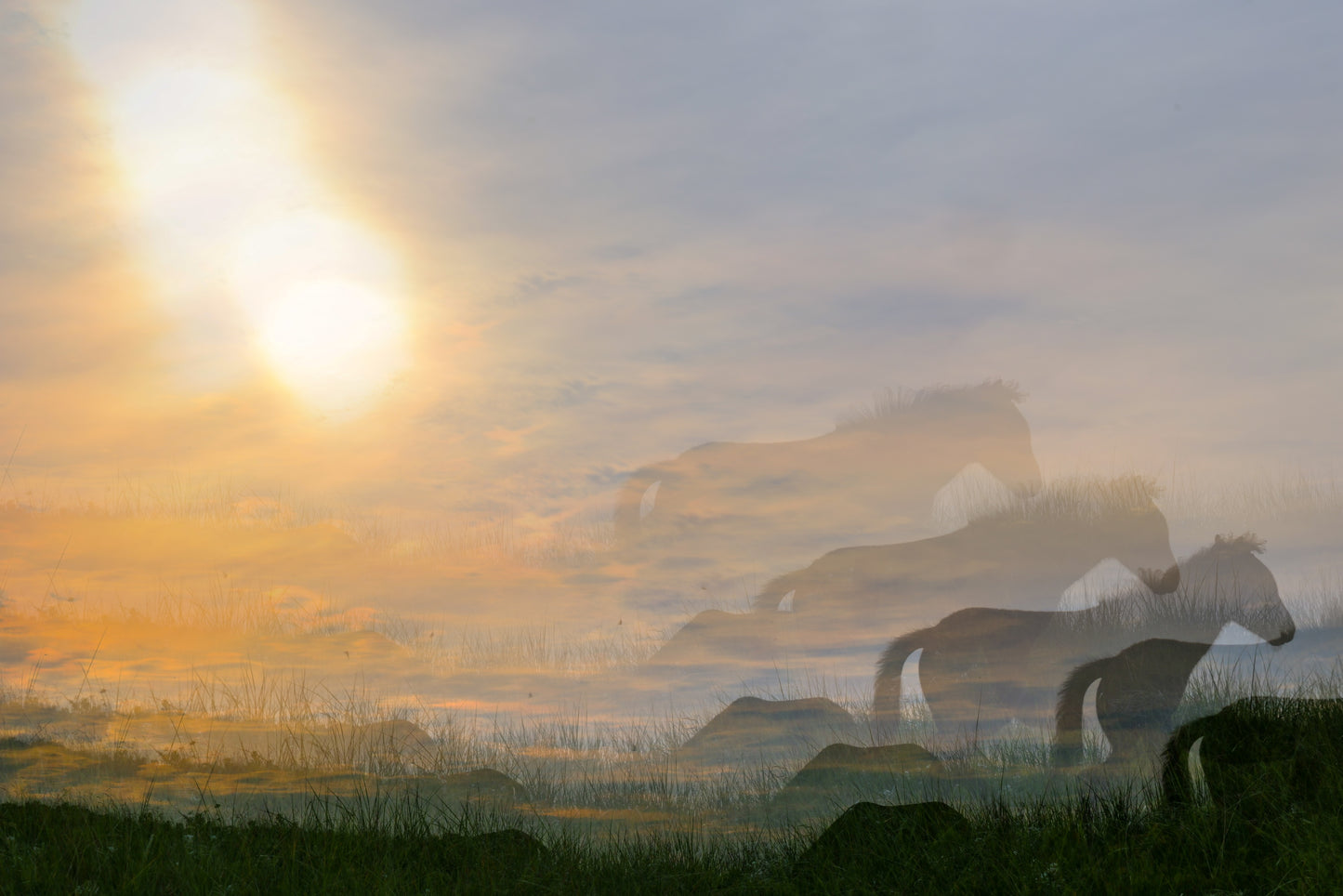 Rising with the Sun