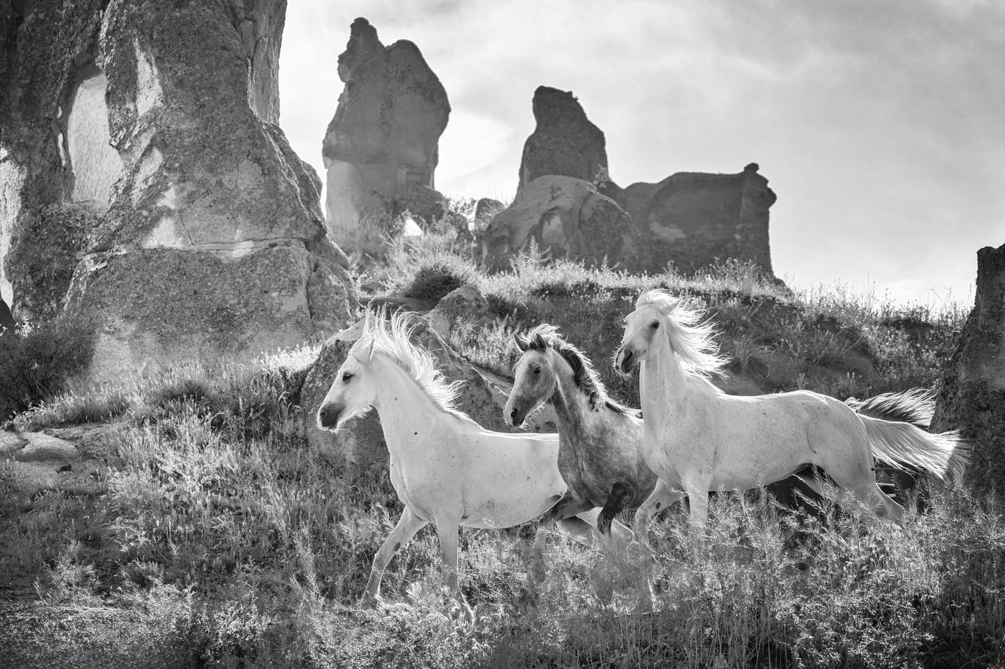 Cappadocian Run