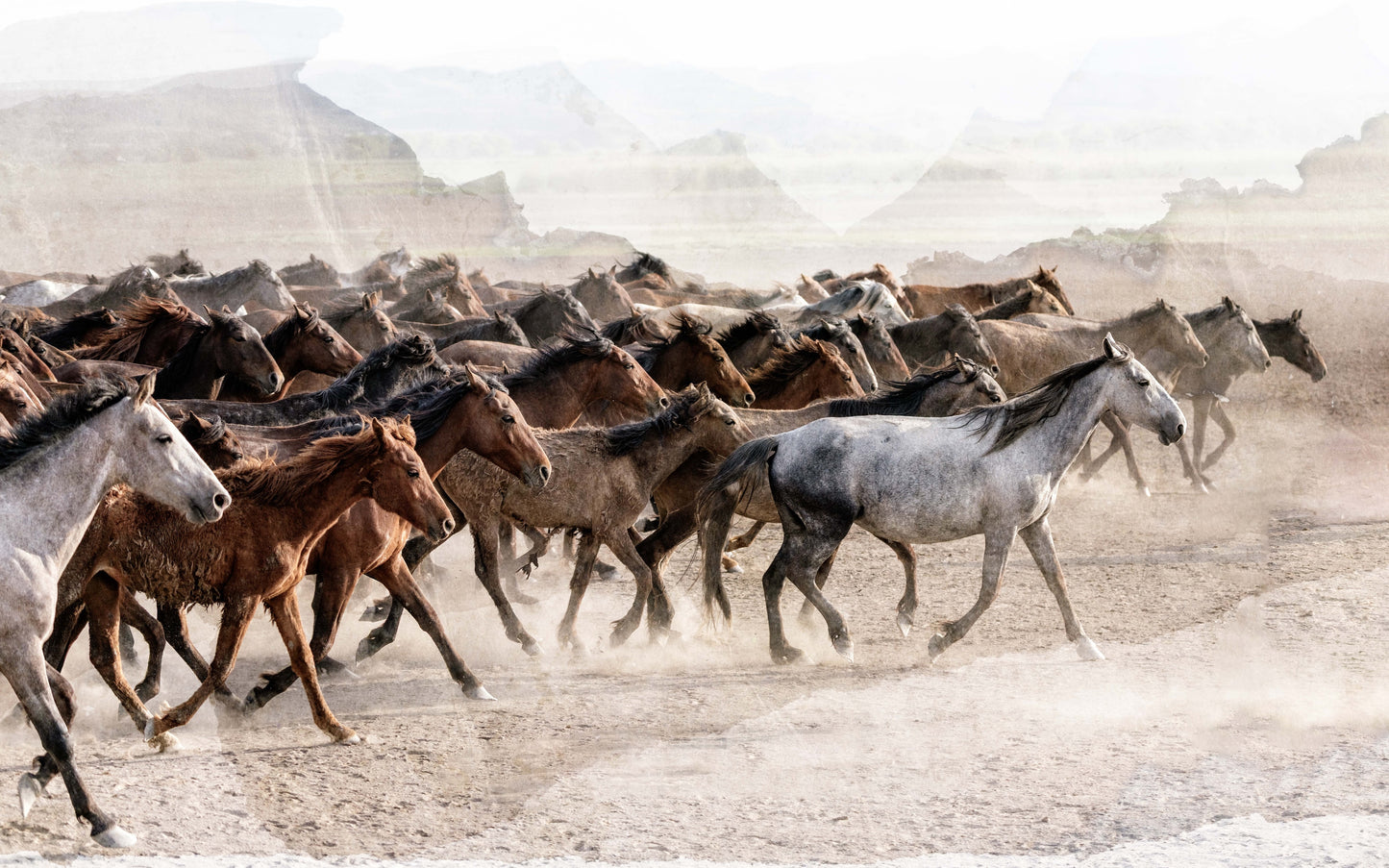 Dust and Thunder