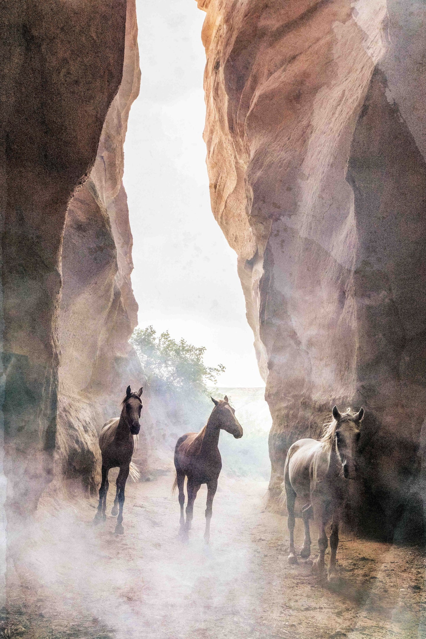 Echoes of the Ancient Pass