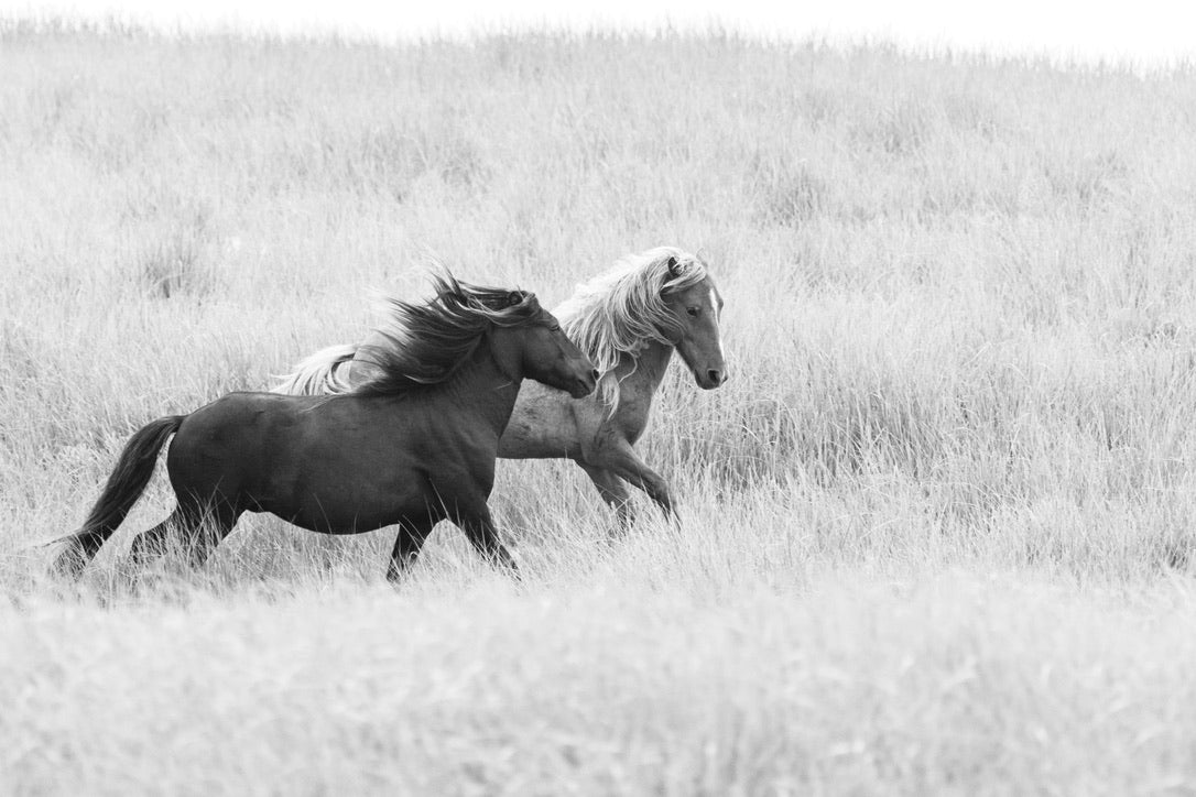 Racing the Wind