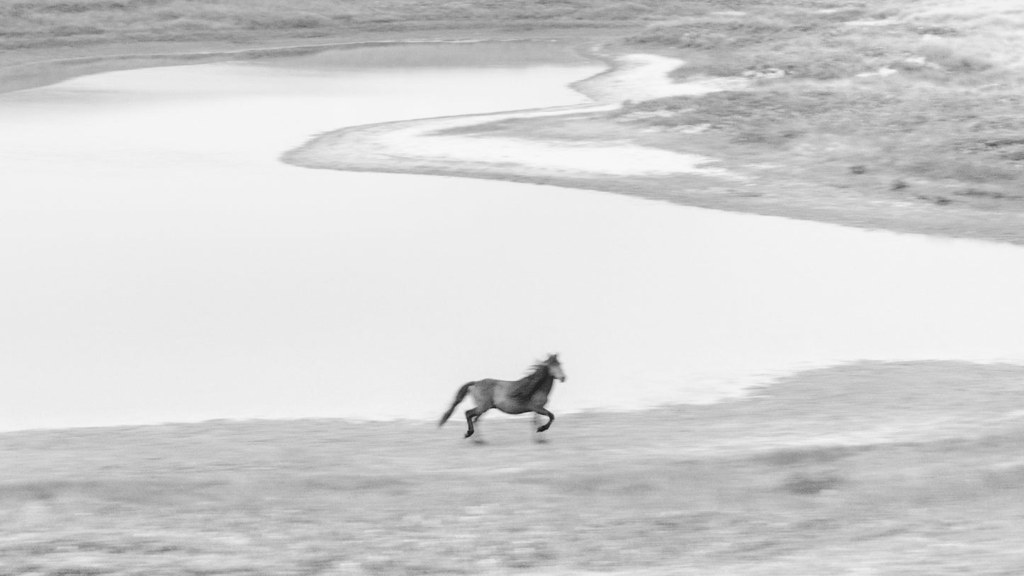 The Runner