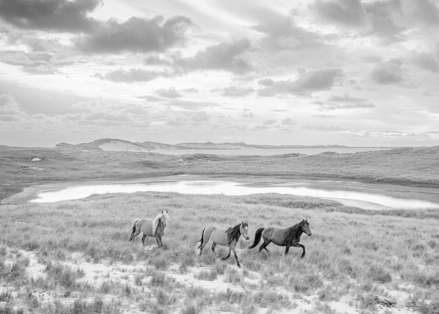 Across the Dunes