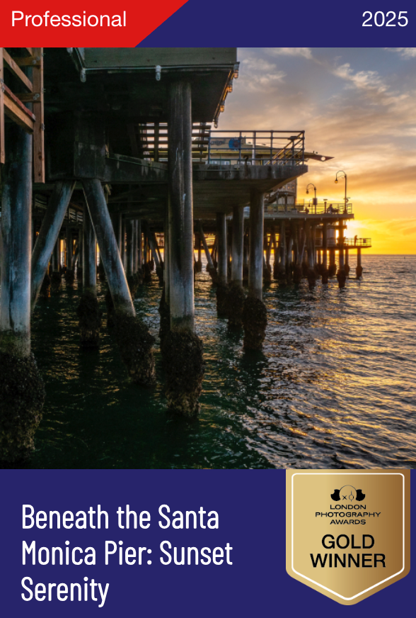 Beneath the Santa Monica Pier