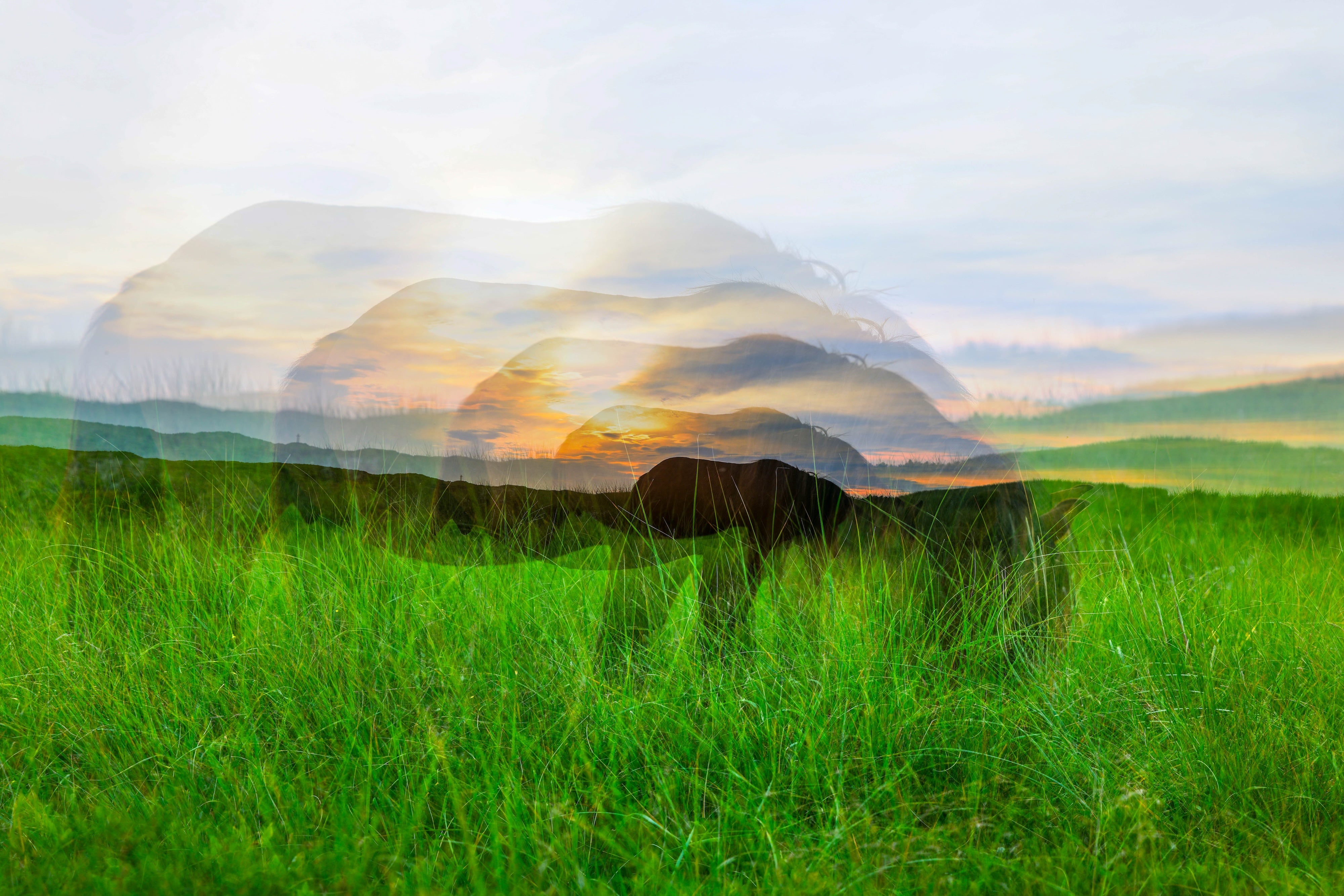 series_1