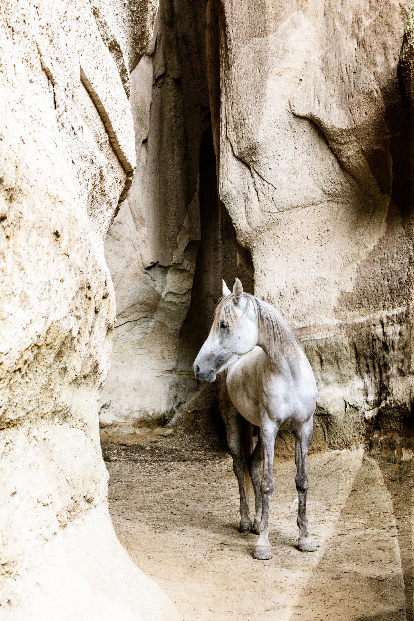 Stone and Spirit