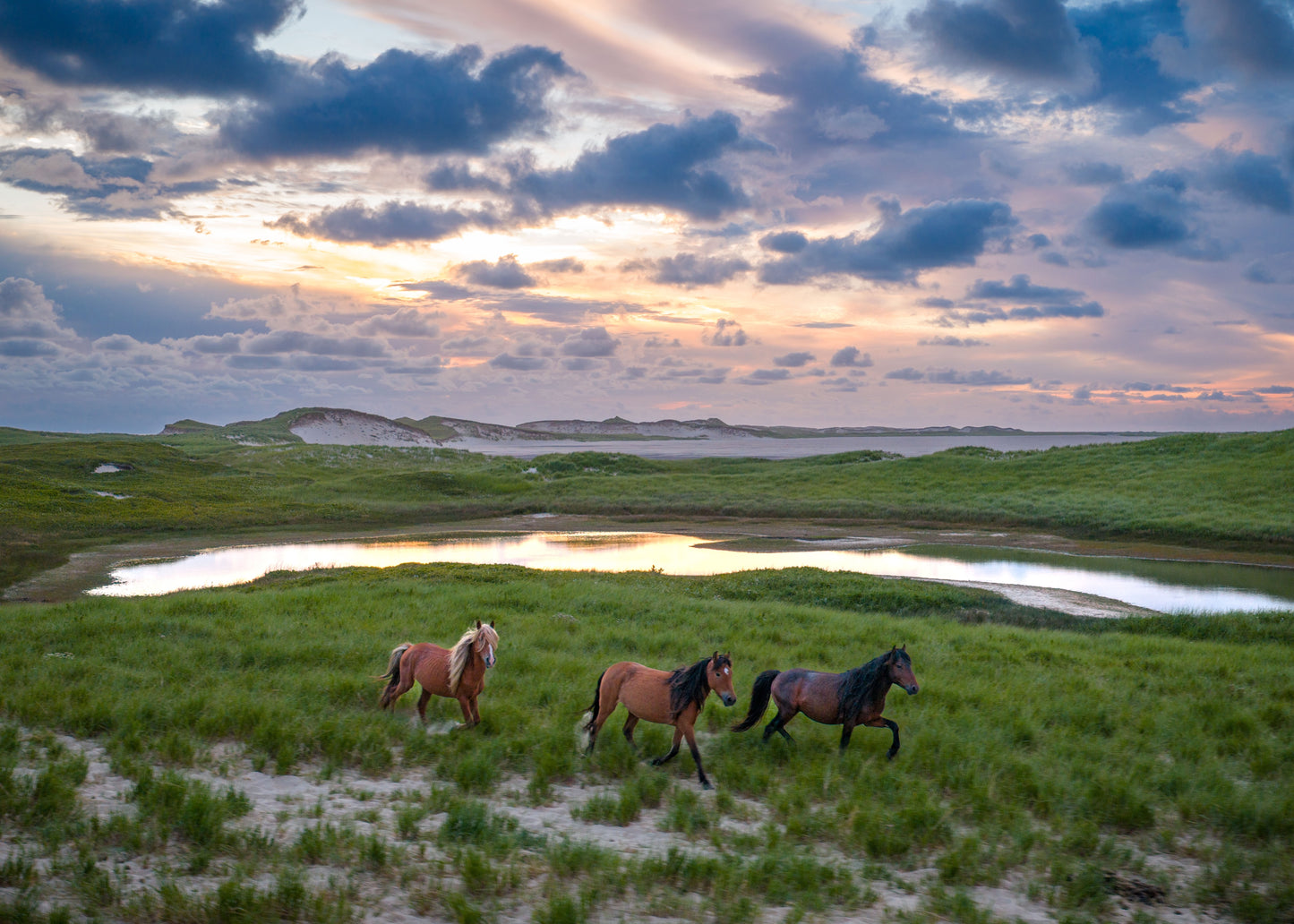 Across the Dunes