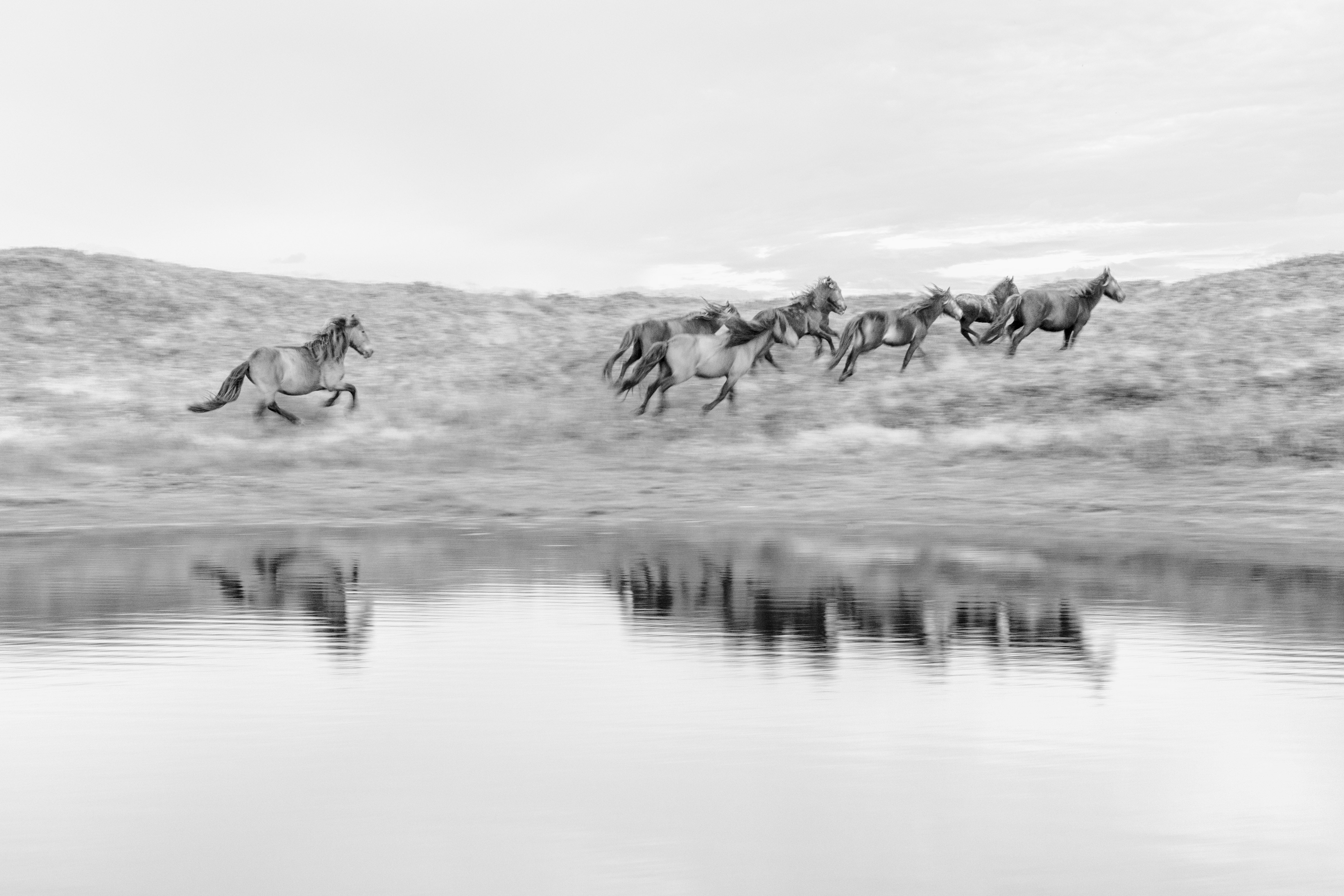 series_1