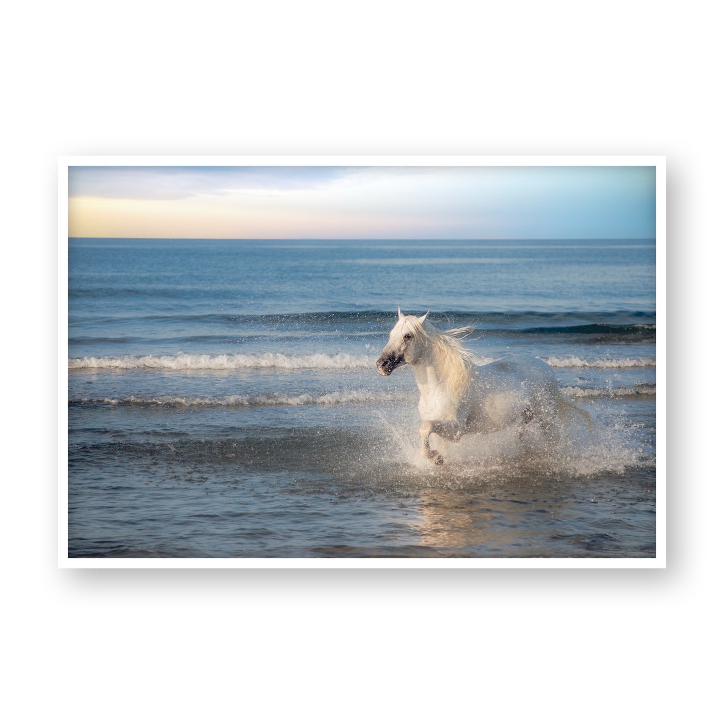 Sea Breeze Gallop