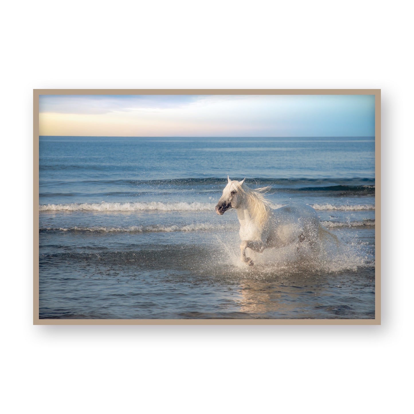 Sea Breeze Gallop
