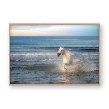 Sea Breeze Gallop
