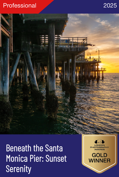 Beneath the Santa Monica Pier