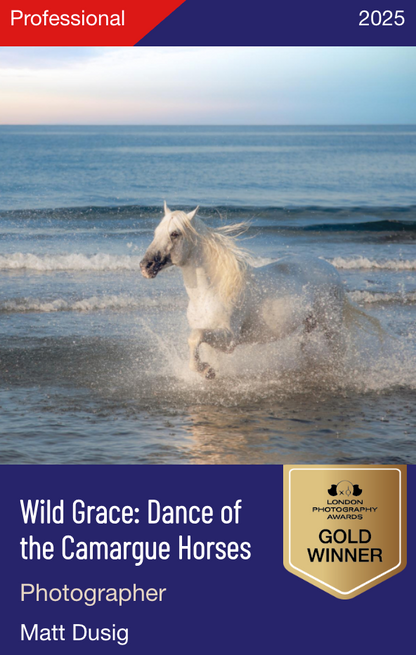 Sea Breeze Gallop